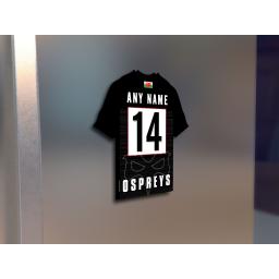 Ospreys FM.jpg